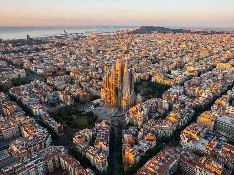 Understanding the Barcelona Soccer Betting Landscape